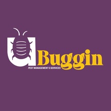 Avatar for U Buggin Pest Management