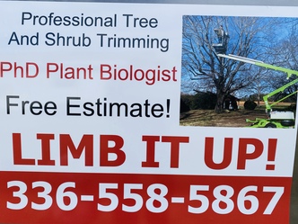 Limb It Up logo