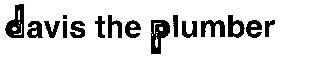 Davis the Plumber logo