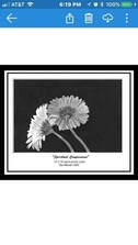 Avatar for Wallpapering By Jean