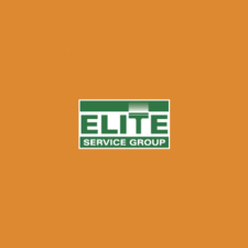 Elite Service Group, LLC logo