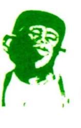 Monk's Tree Service logo