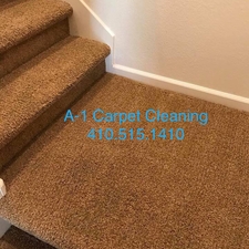 Top 5 Best Carpet Cleaners In Rifle Co Angie S List