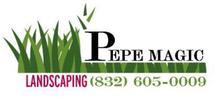 Avatar for Pepe Magic