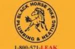 Black Horse Pike Plumbing & Heating II, Inc. logo