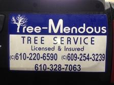 Logo for Treemendous Tree Service, LLC