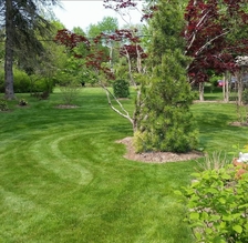 Logo for Frank Scaccia Landscaping and Maintenance