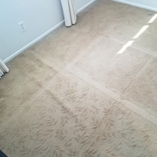 Dominick S Carpet Furniture Cleaning Anaheim Ca 92801 Homeadvisor