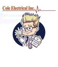 Avatar for Cole Electric International, Inc.
