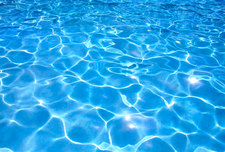 Avatar for Aqua Gator Pool Service