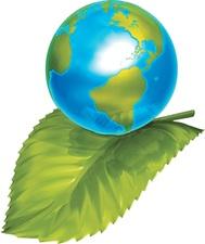 Clean Green Restoration, LLC logo