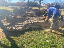 A & J Landscaping & Maintenance logo
