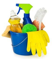 Terrific Cleaners Detailed Cleaning Services logo