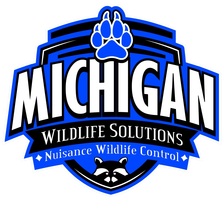 Avatar for Michigan Wildlife Solutions, LLC