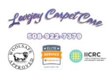 Logo for Lovejoy Carpet Care