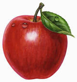Apple Maintenance Company logo