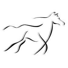 Wildhorse Contracting, LLC logo