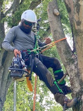 Lenny's Tree Service logo