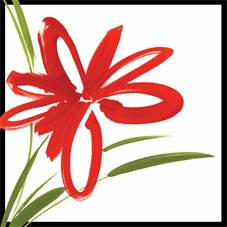 NYC Lifeditor logo