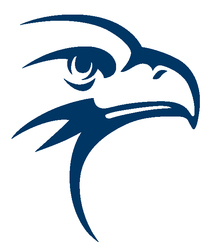 Hawk Plumbing, LLC logo