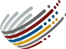 Coleman Information Technology Group, Inc. logo