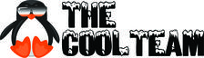 The Cool Team, LLC logo