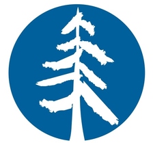 Blue Sound Construction, Inc. logo