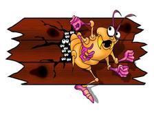 Above All Termite & Pest Control, LLC logo