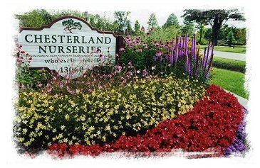 Chesterland Nurseries Ltd. logo