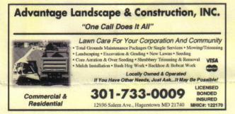 Advantage Landscape and Construction, Inc. logo