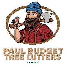 Budget Landscape, Inc. logo