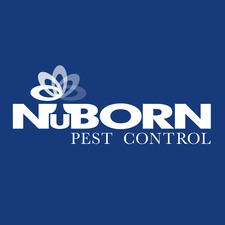 NuBorn Pest Control - Home  Facebook logo