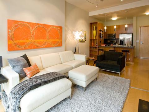 Contemporary Family Room with light grey shag area rug