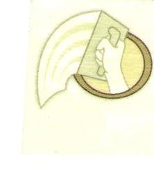 A Patch to Match, LLC logo