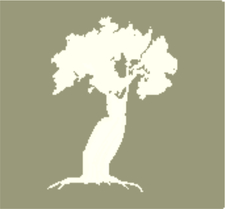 Avatar for Cypress Builders Enterprises, Inc.