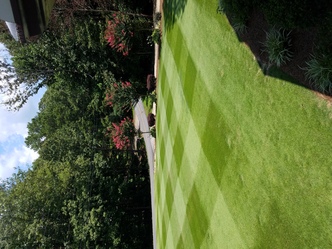 Denson Landscapes logo