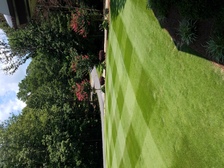 Avatar for Denson Landscapes