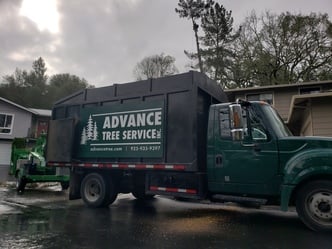 Advance Tree Service, Inc logo