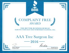 Avatar for AAA Tree Surgeon, Inc.