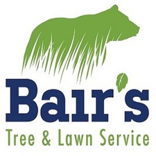 Avatar for Bair's Tree & Lawn Service