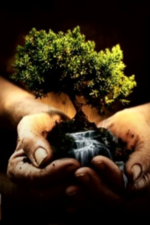 Avatar for Freeman Landscape, Texarkana - Trang ch Facebook