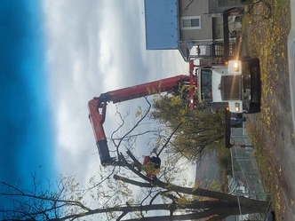 Pro Landscapes and Tree Service logo