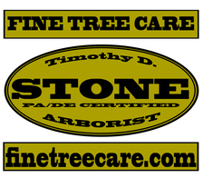 Fine Tree Care, Ltd. logo