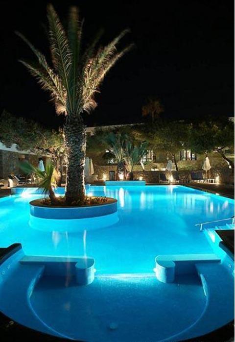 Modern Pool with palm tree in middle of pool