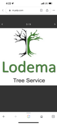 Lodema Tree and Landscape Service logo