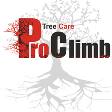 Logo for ProClimb Tree Care