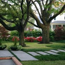 Transitional Landscape with colorful and inviting landscaping