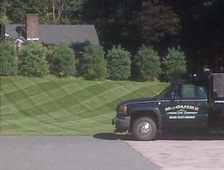 McGuire Tree & Landscape, Inc. logo