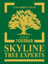 Skyline Tree, Corp. logo