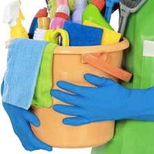 Healthy Homes House Cleaning, LLC logo